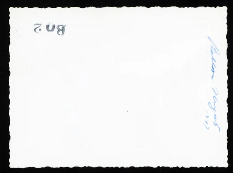 40989215-001-0008.jpg