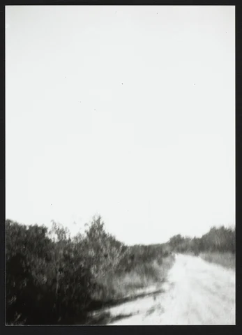 40989216-001-0013.jpg