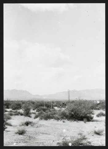 40989216-001-0029.jpg