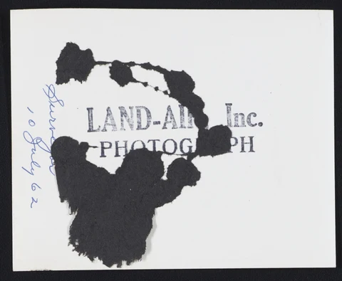 40989253-001-0015.jpg