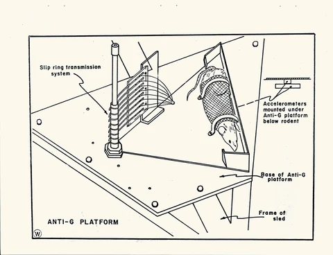 40989292-001-0031.jpg