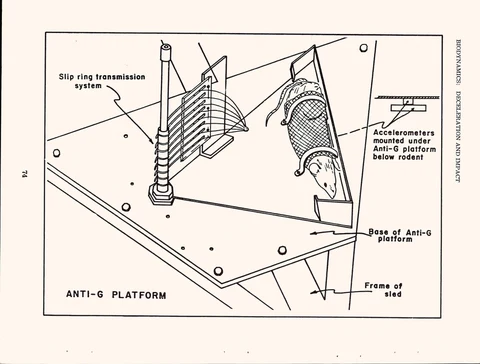 40989293-001-0087.jpg