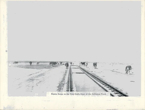 40989295-001-0031.jpg