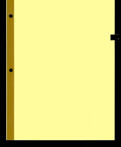 40989308-001-0002.jpg