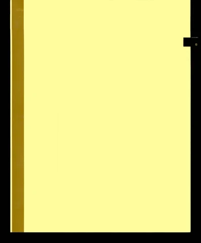 40989311-001-0062.jpg