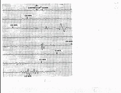 40989319-001-0082.jpg