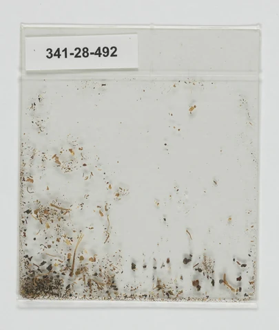 293206380-005-001.jpg