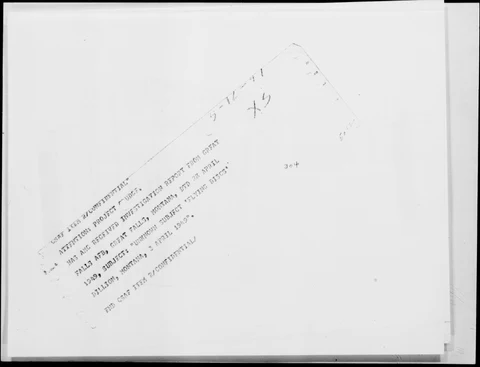 1111.jpg