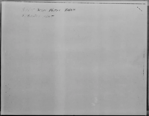 1133.jpg