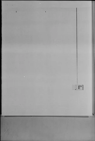 1188.jpg