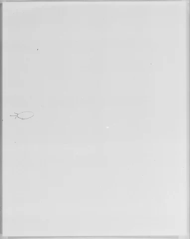 1149.jpg