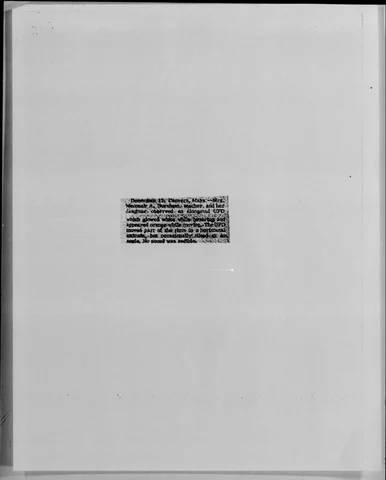 1125.jpg