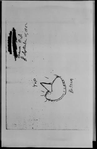1062.jpg